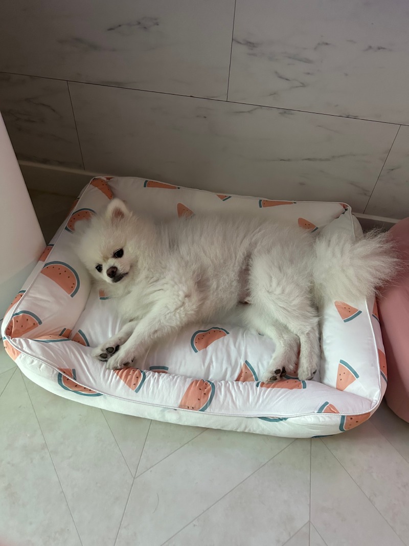 KakaoTalk_20240309_000654777_02.jpg