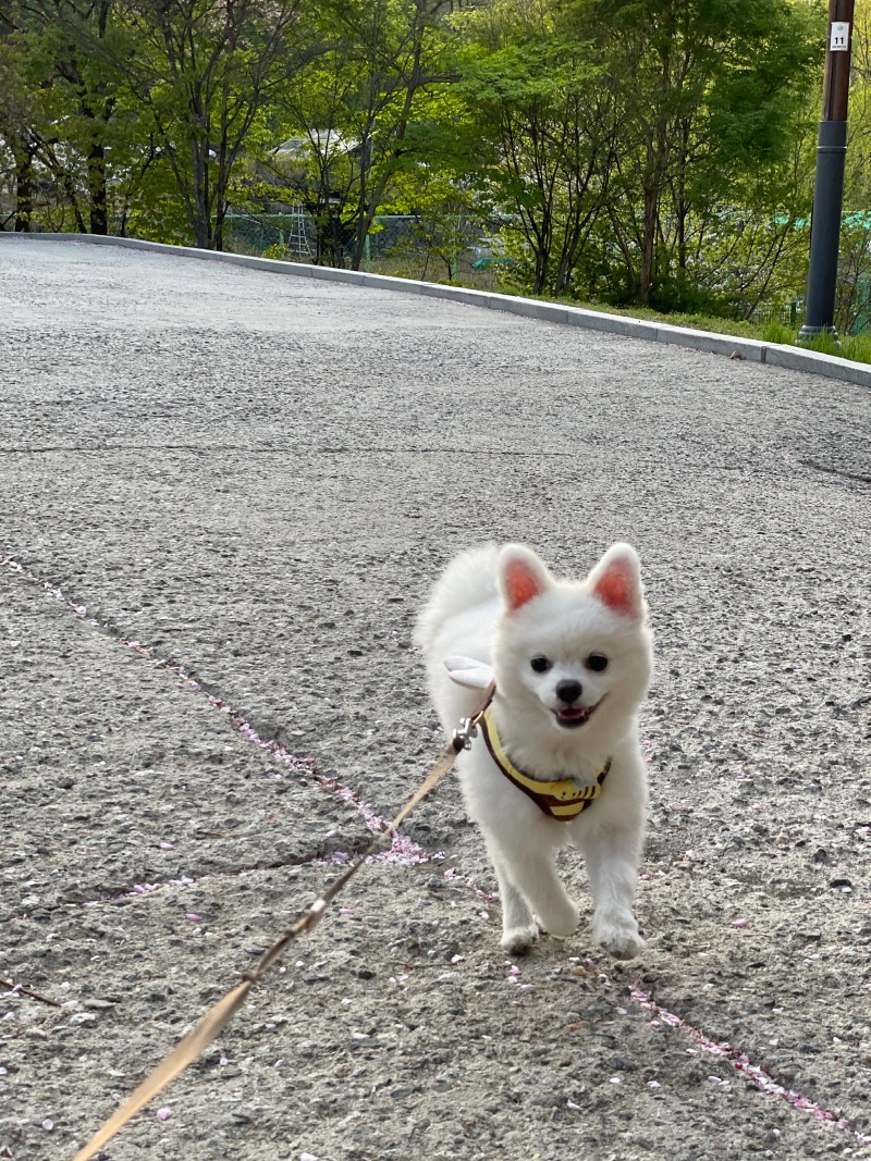 KakaoTalk_20240309_002451227_01.jpg