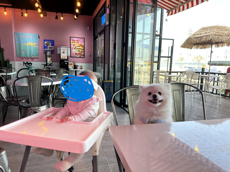 버거앤프라이즈 포항송도비치점 강아지 동반 식당!