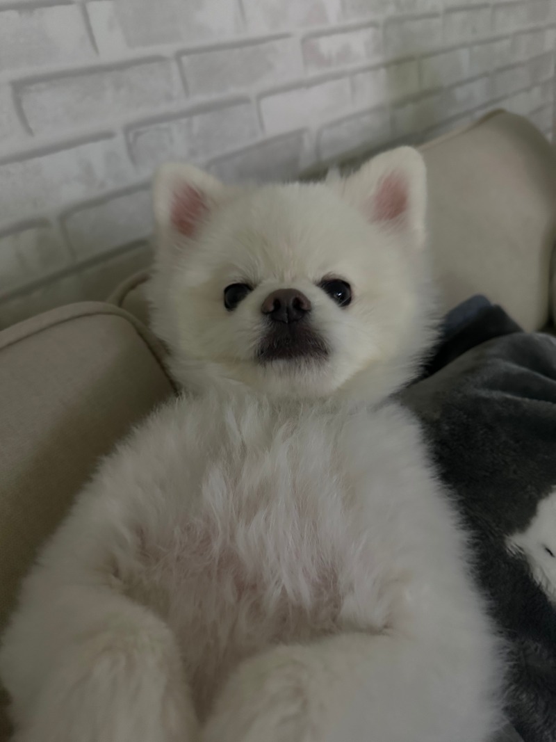 뒹굴뒹굴 잠이 안오는 날 ㅎㅎ