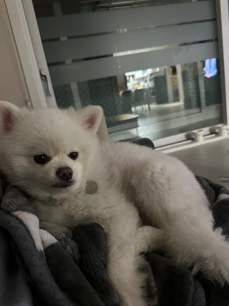 뒹굴뒹굴 잠이 안오는 날 ㅎㅎ