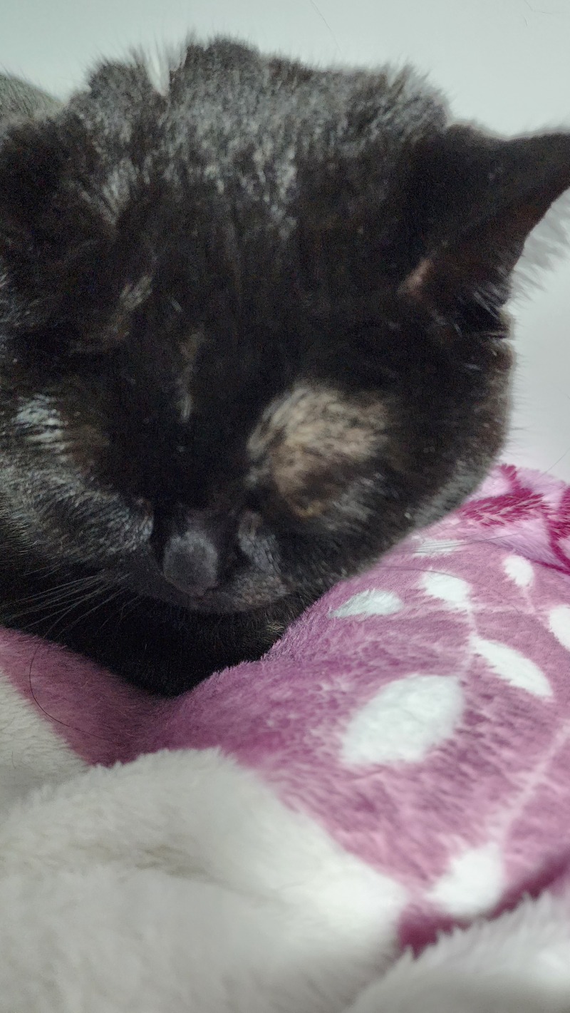 자는중..zzzz..z...