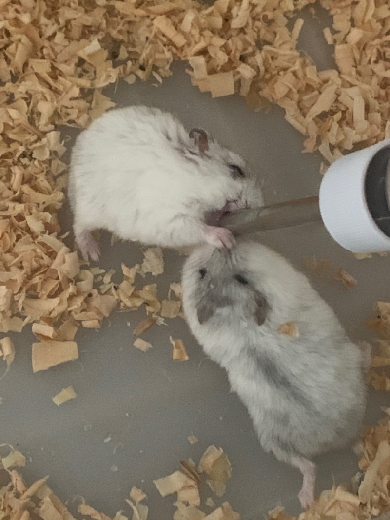 냠냠 오독오독 꿀꺽꿀꺽