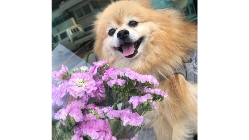 깡치 ♥