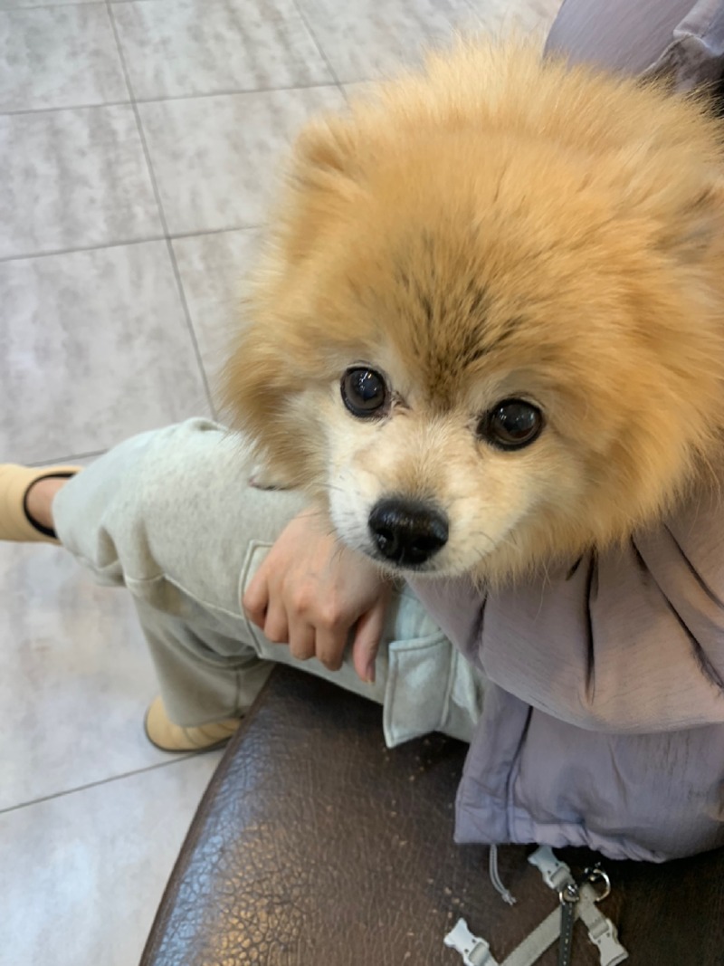★ 구리시 프라임 동물병원 ★