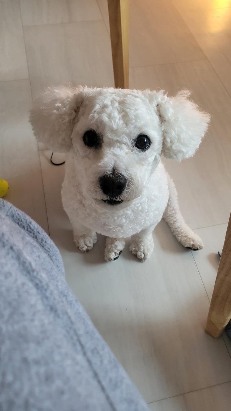 업무방해