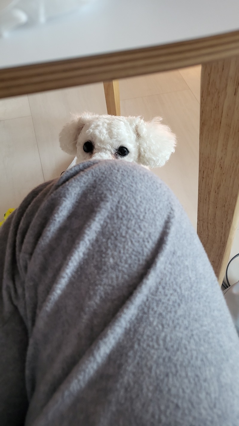 업무방해