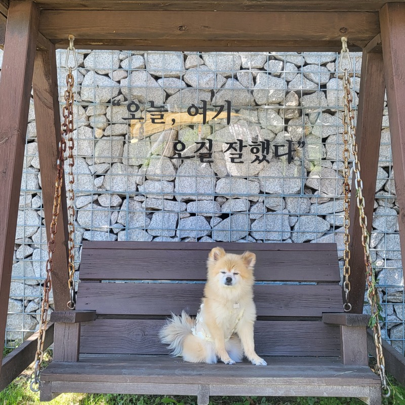 ★포천 이맛갈비★