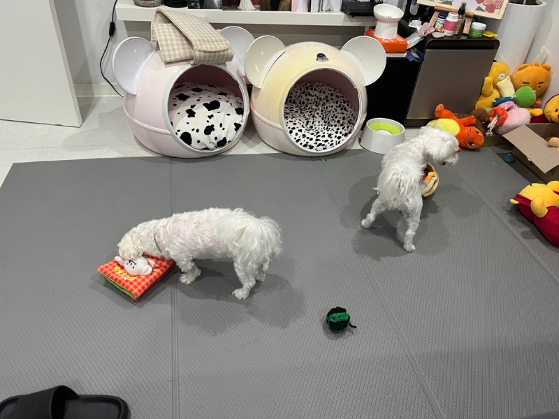 KakaoTalk_20240312_231659469_03.jpg
