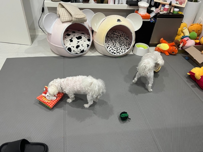 KakaoTalk_20240312_231659469_01.jpg