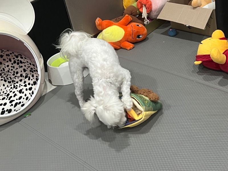 KakaoTalk_20240312_231659469_04.jpg