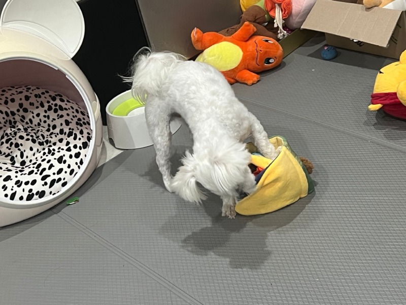 KakaoTalk_20240312_231659469_05.jpg