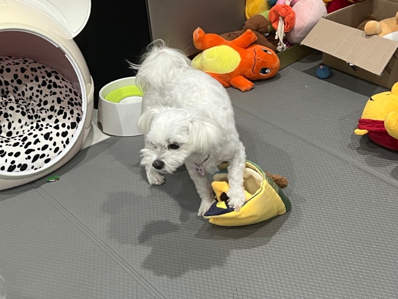 KakaoTalk_20240312_231659469_07.jpg
