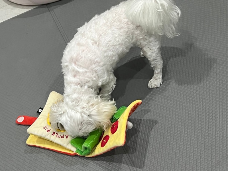 KakaoTalk_20240312_231659469_06.jpg