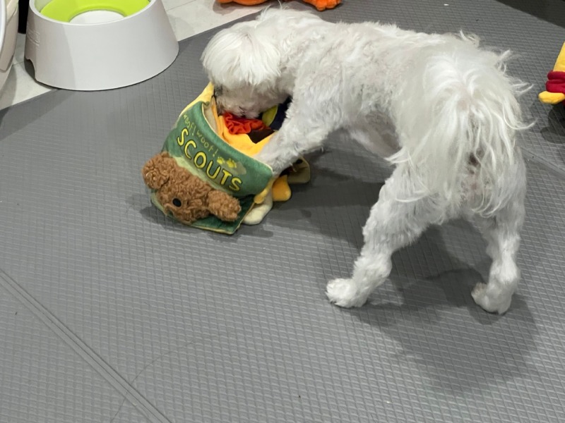 KakaoTalk_20240312_231659469_08.jpg