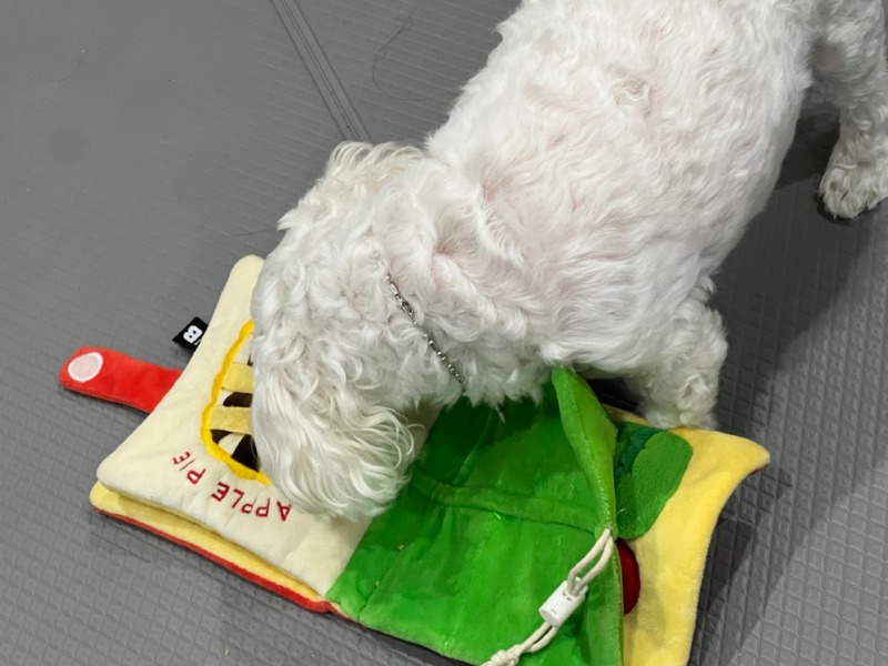 KakaoTalk_20240312_231659469_09.jpg