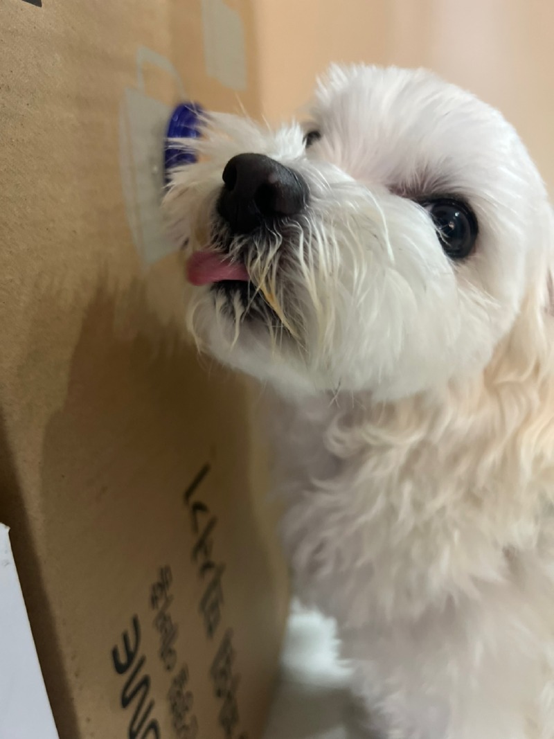 KakaoTalk_20240312_233049814_06.jpg