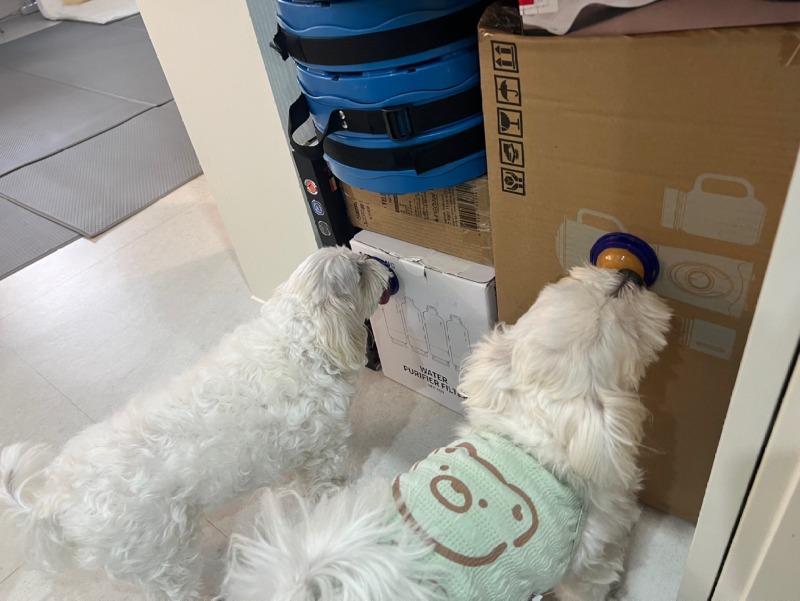 KakaoTalk_20240312_233049814_13.jpg
