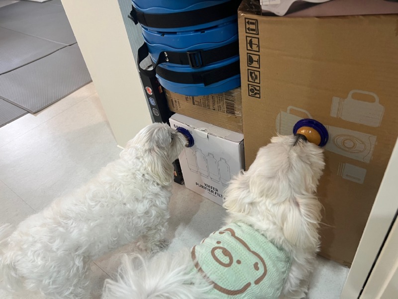 KakaoTalk_20240312_233049814_14.jpg