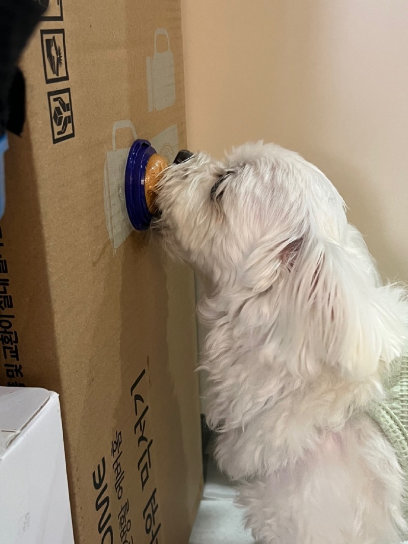 KakaoTalk_20240312_233049814_08.jpg