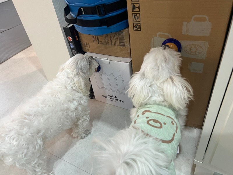 KakaoTalk_20240312_233049814_15.jpg