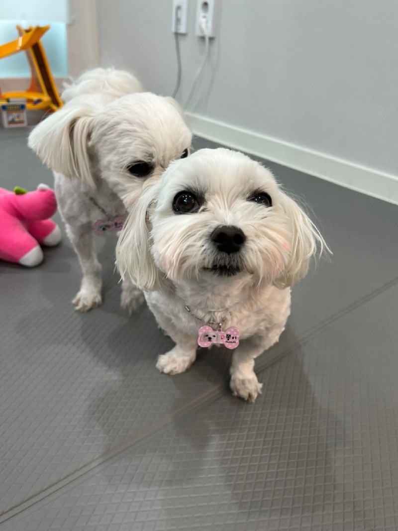 KakaoTalk_20240312_233544788_10.jpg