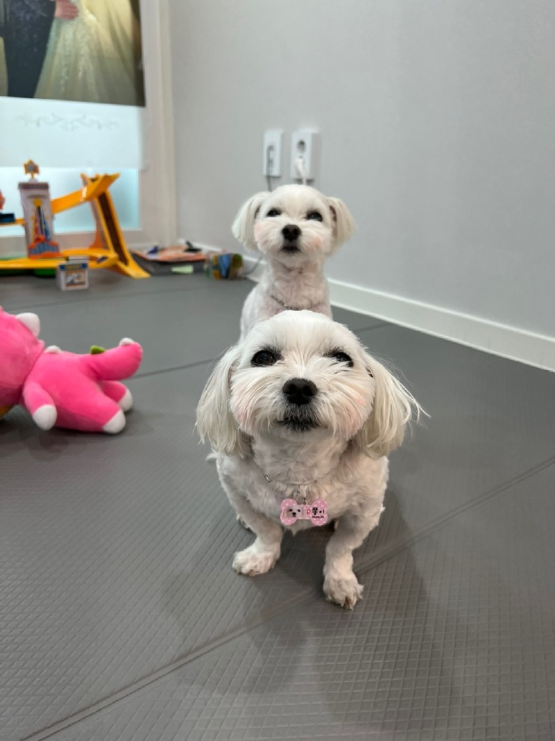 KakaoTalk_20240312_233544788_09.jpg