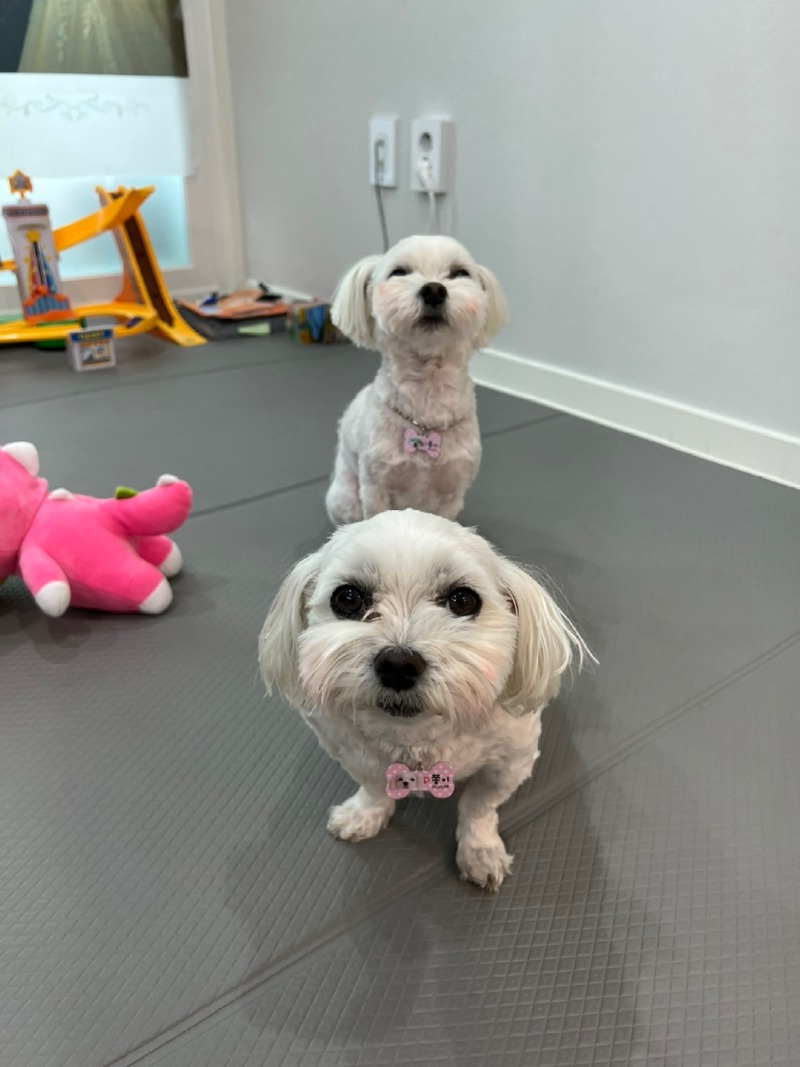 KakaoTalk_20240312_233544788_11.jpg