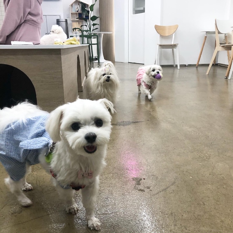 엄마랑 하루 종일 놀았어요~~