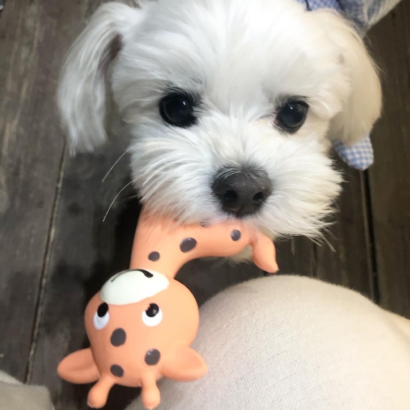 엄마랑 하루 종일 놀았어요~~