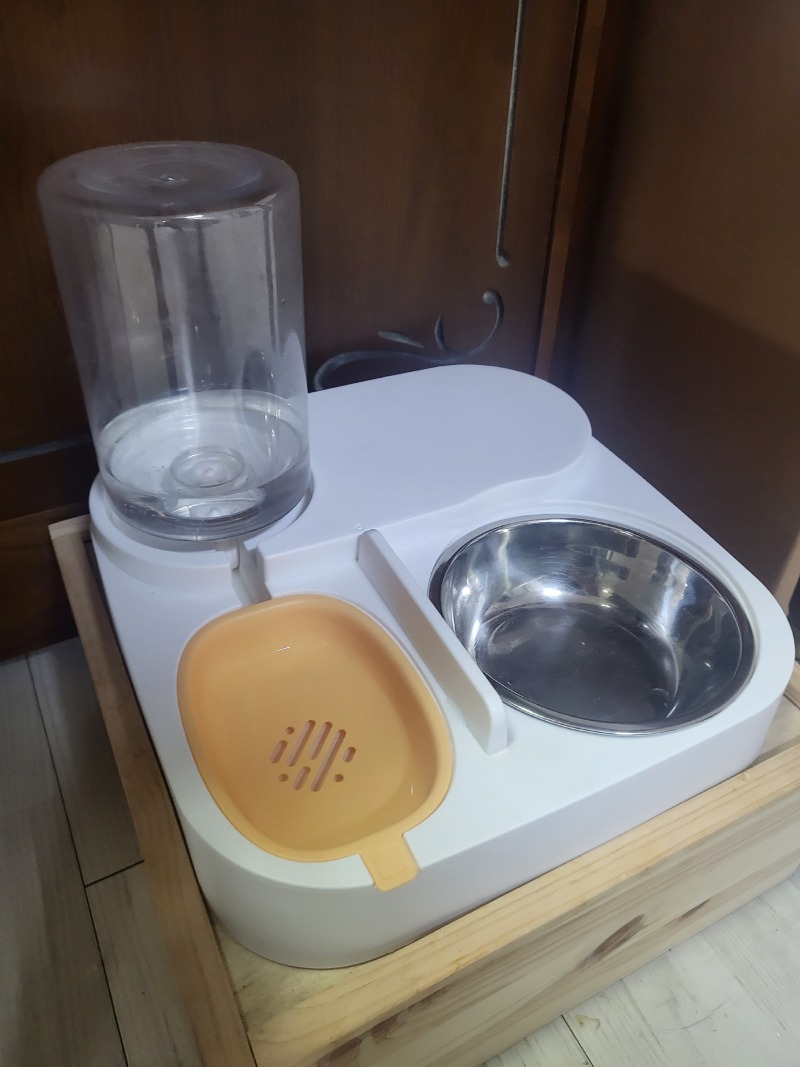 KakaoTalk_20240312_195933292.jpg