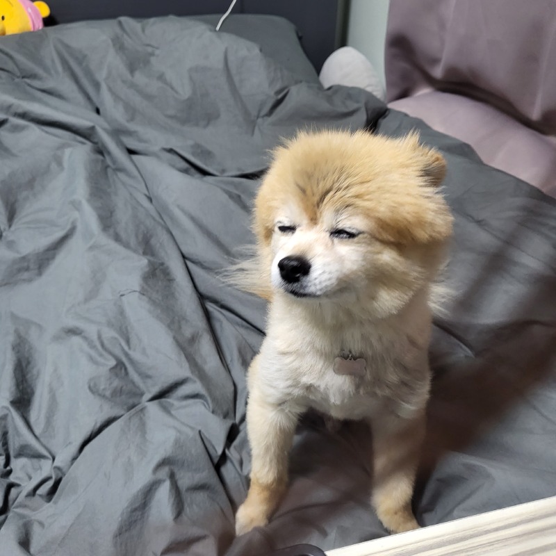 KakaoTalk_20240312_201529294_02.jpg