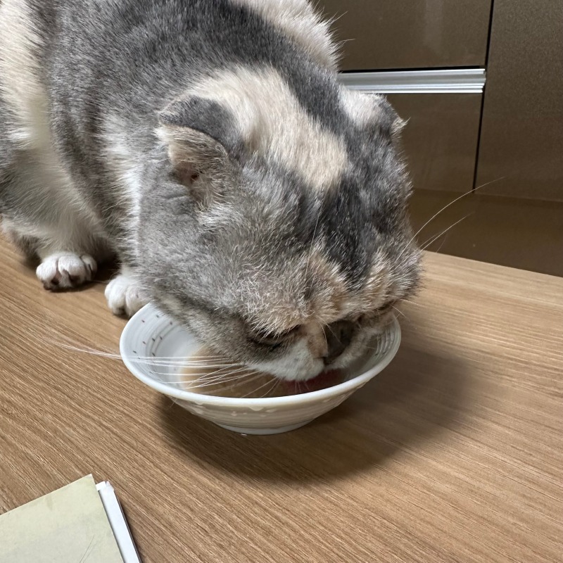 KakaoTalk_20240313_164335598_02.jpg