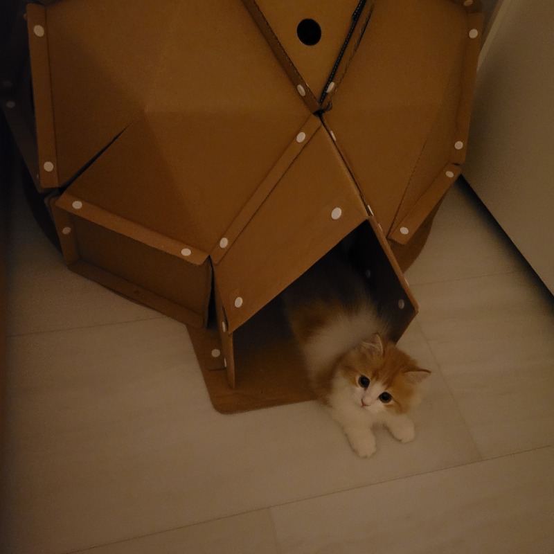 KakaoTalk_20240308_214458513_01.jpg