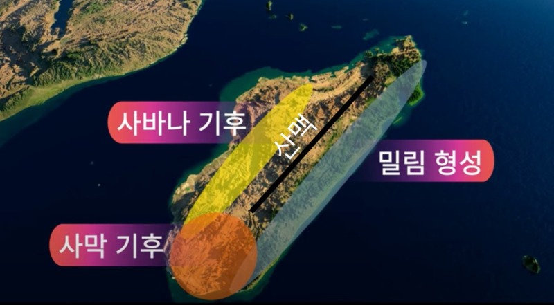 신비의 섬 마다가스카르