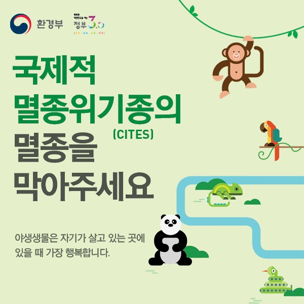 신비의 섬 마다가스카르