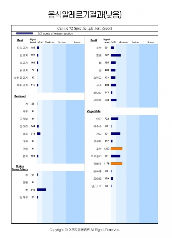 강아지가 절대로 먹으면 안되는 음식 