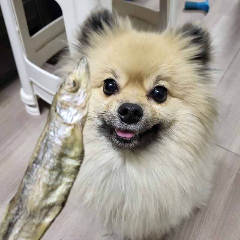 간식맛집 견제과!