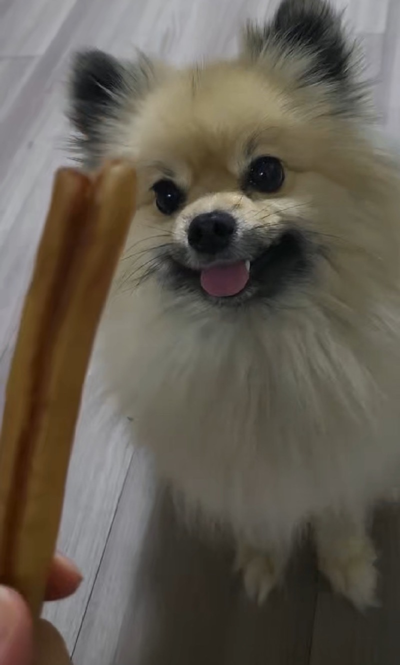 간식맛집 견제과!