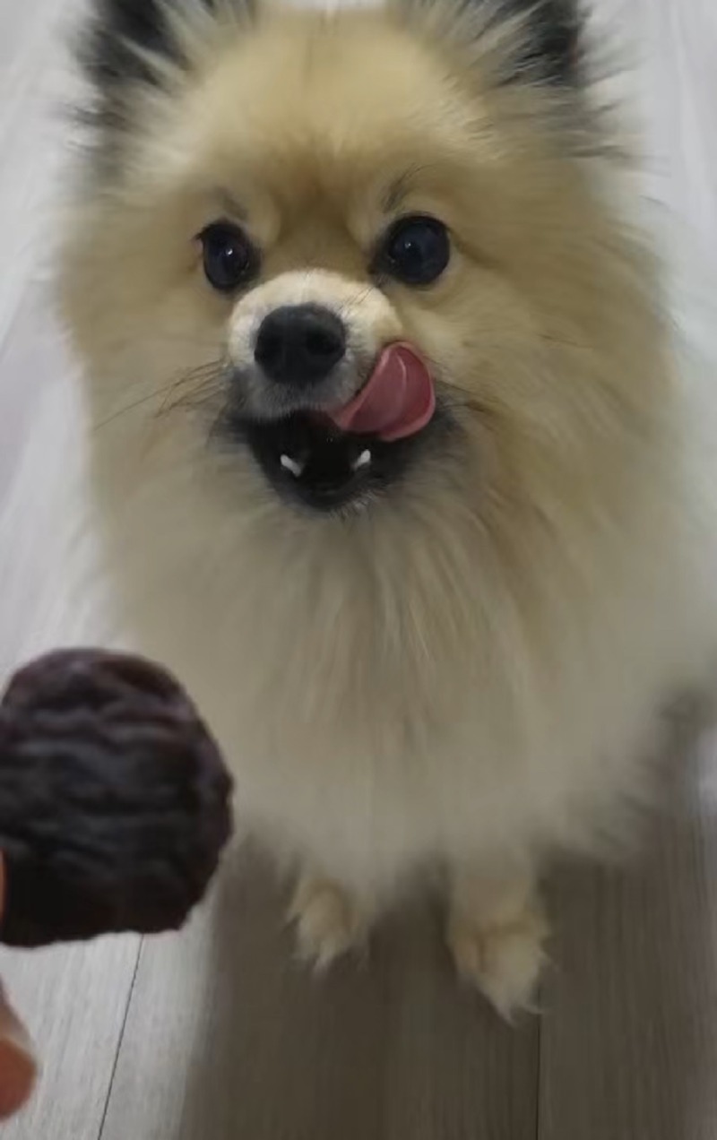 간식맛집 견제과!