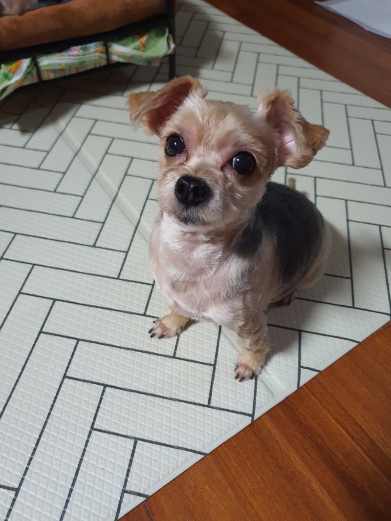 한방에서 옹기종기
