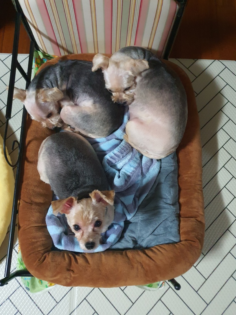 한방에서 옹기종기