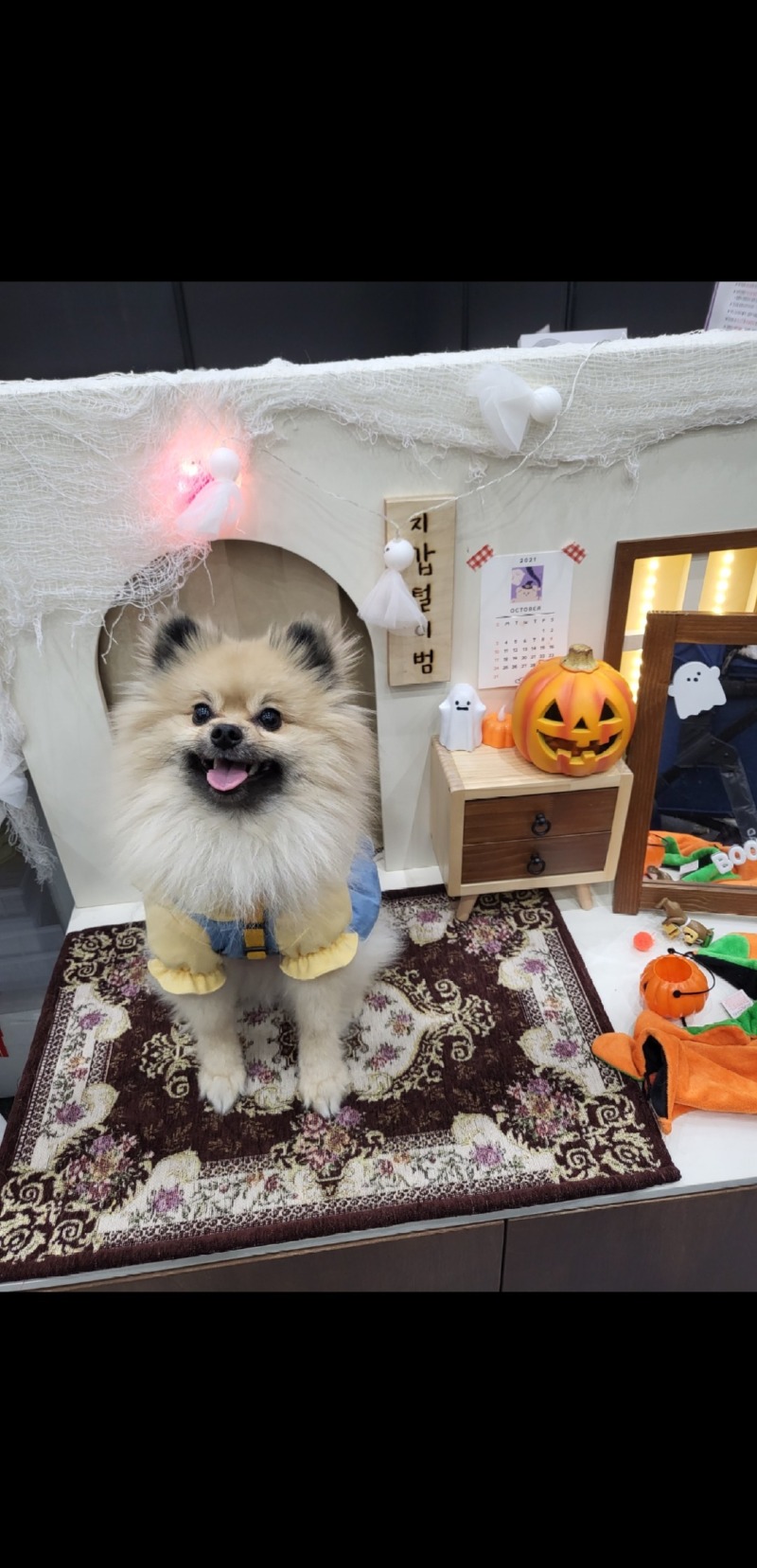 나 완전히 뻗었어요 ㅋㅋㅋㅋㅋㅋㅋㅋㅋㅋㅋ