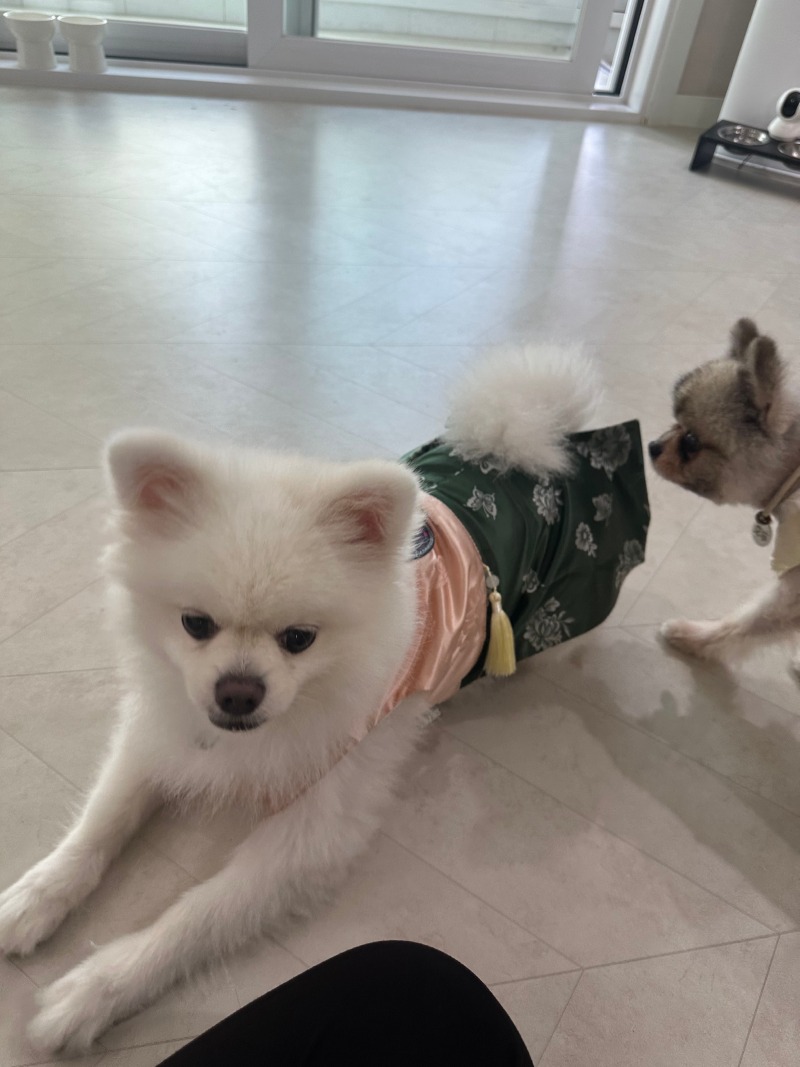 KakaoTalk_20240309_004137617_01.jpg