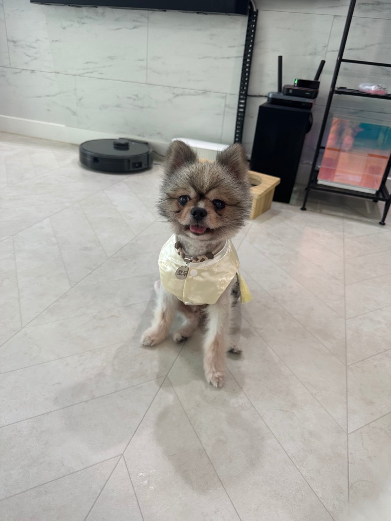 KakaoTalk_20240309_004137617_02.jpg
