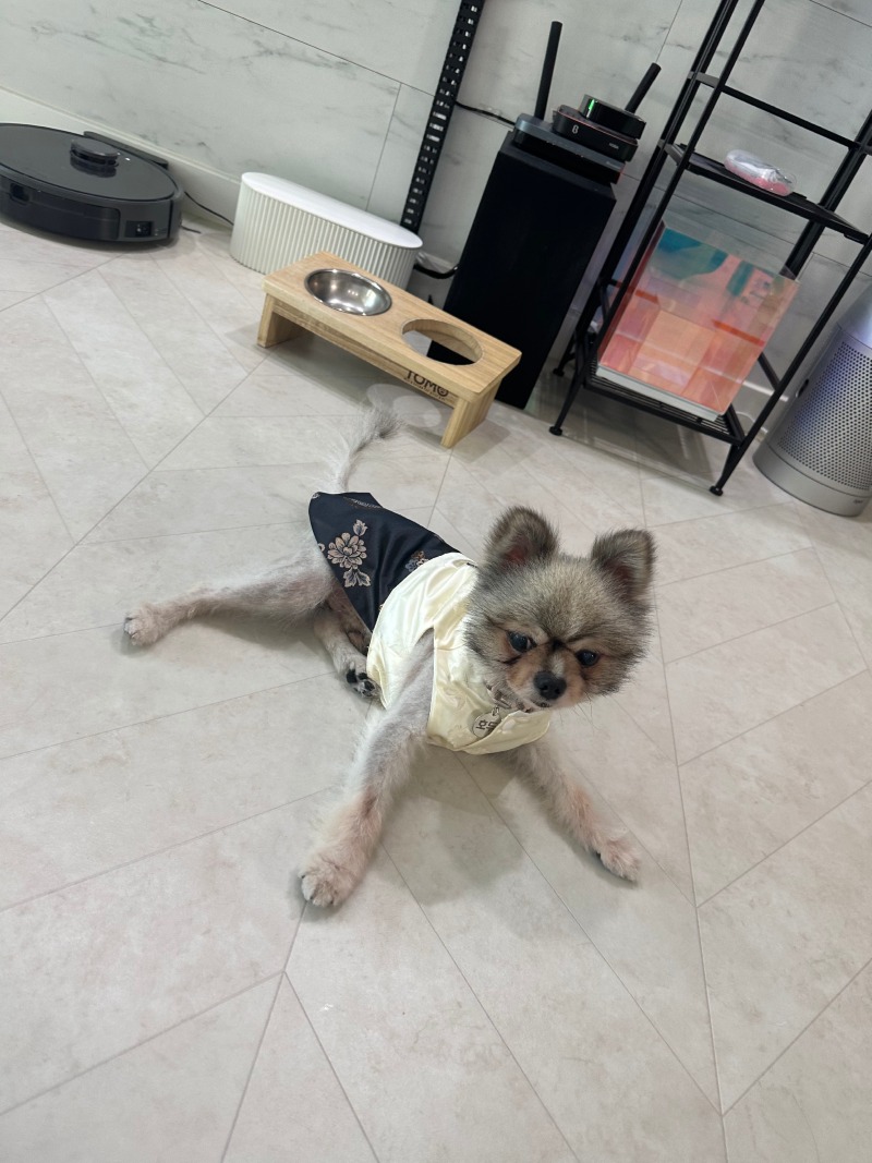 KakaoTalk_20240309_004137617_03.jpg