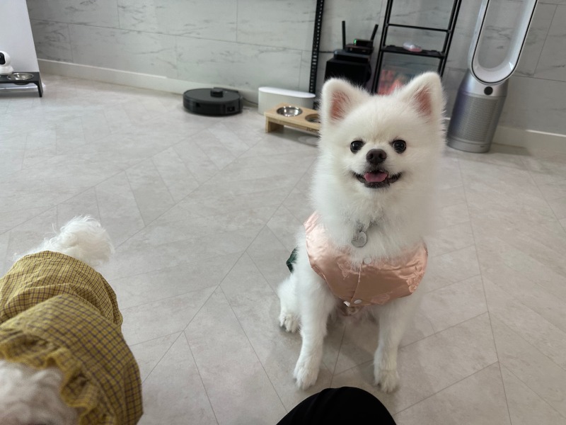 KakaoTalk_20240309_004137617_04.jpg