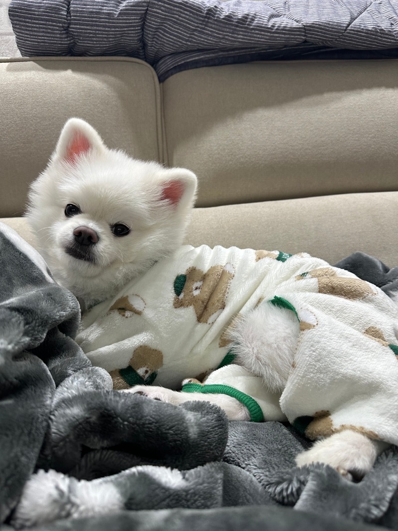 KakaoTalk_20240309_005552068_02.jpg
