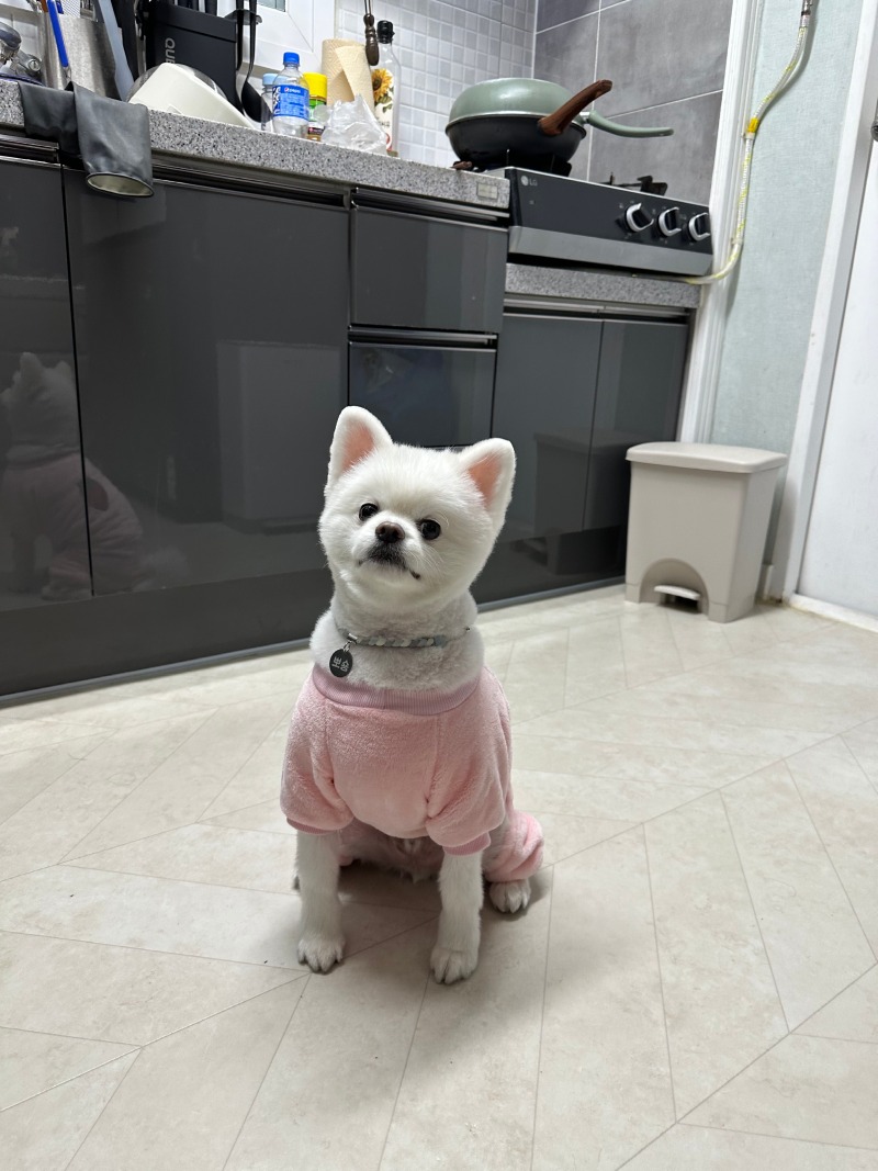 KakaoTalk_20240309_005250326_01.jpg