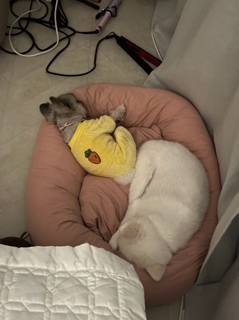 KakaoTalk_20240309_005250326_03.jpg